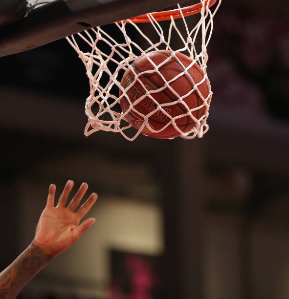 明尼苏达维 明尼苏达维