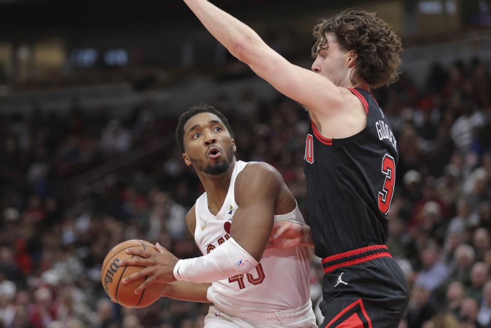 的球迷群体 的球迷群体